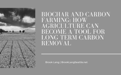 Biochar and Carbon Farming: How Agriculture Can Become a Tool for Long Term Carbon Removal