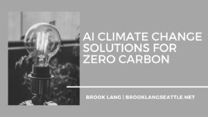 Brook Lang Seattle Ai Climate Change Solutions For Zero Carbon