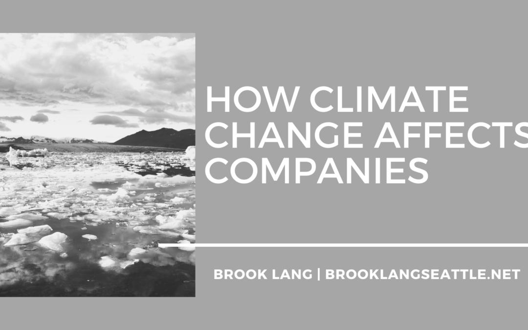How Climate Change Affects Companies