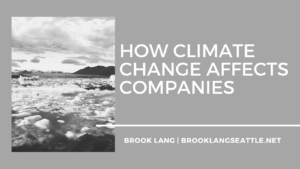 Brook Lang Seattle How Climate Change Affects Companies