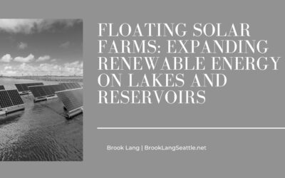 Floating Solar Farms: Expanding Renewable Energy on Lakes and Reservoirs